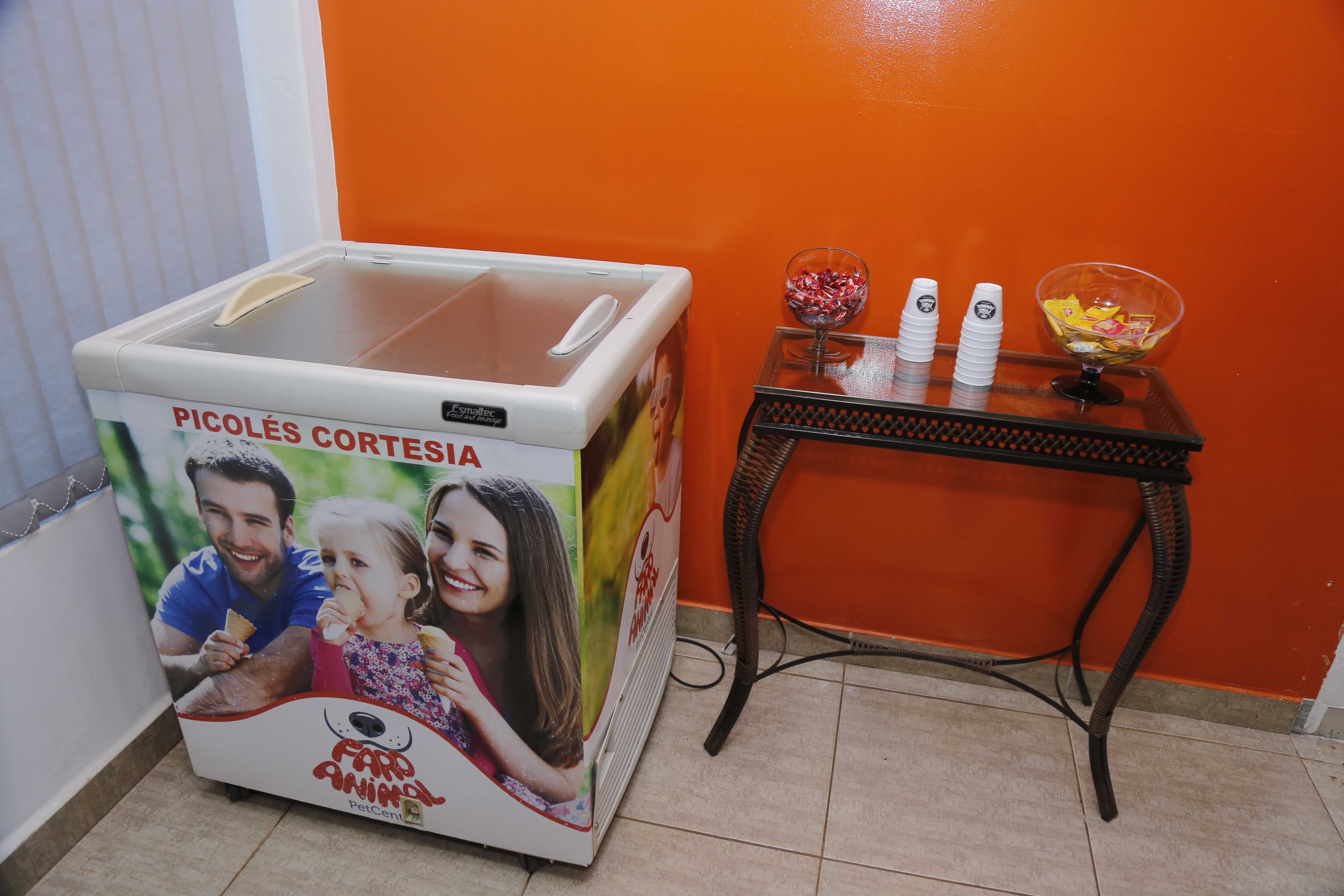 Foto da Galeria